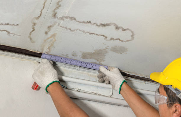 Reliable Structural Drying contractor in Leicester, NC by Water Damage Irwin